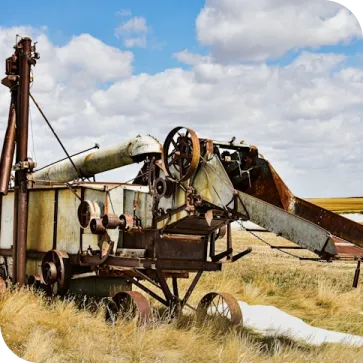 agriculture
