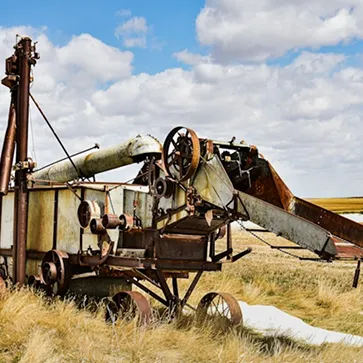 agriculture